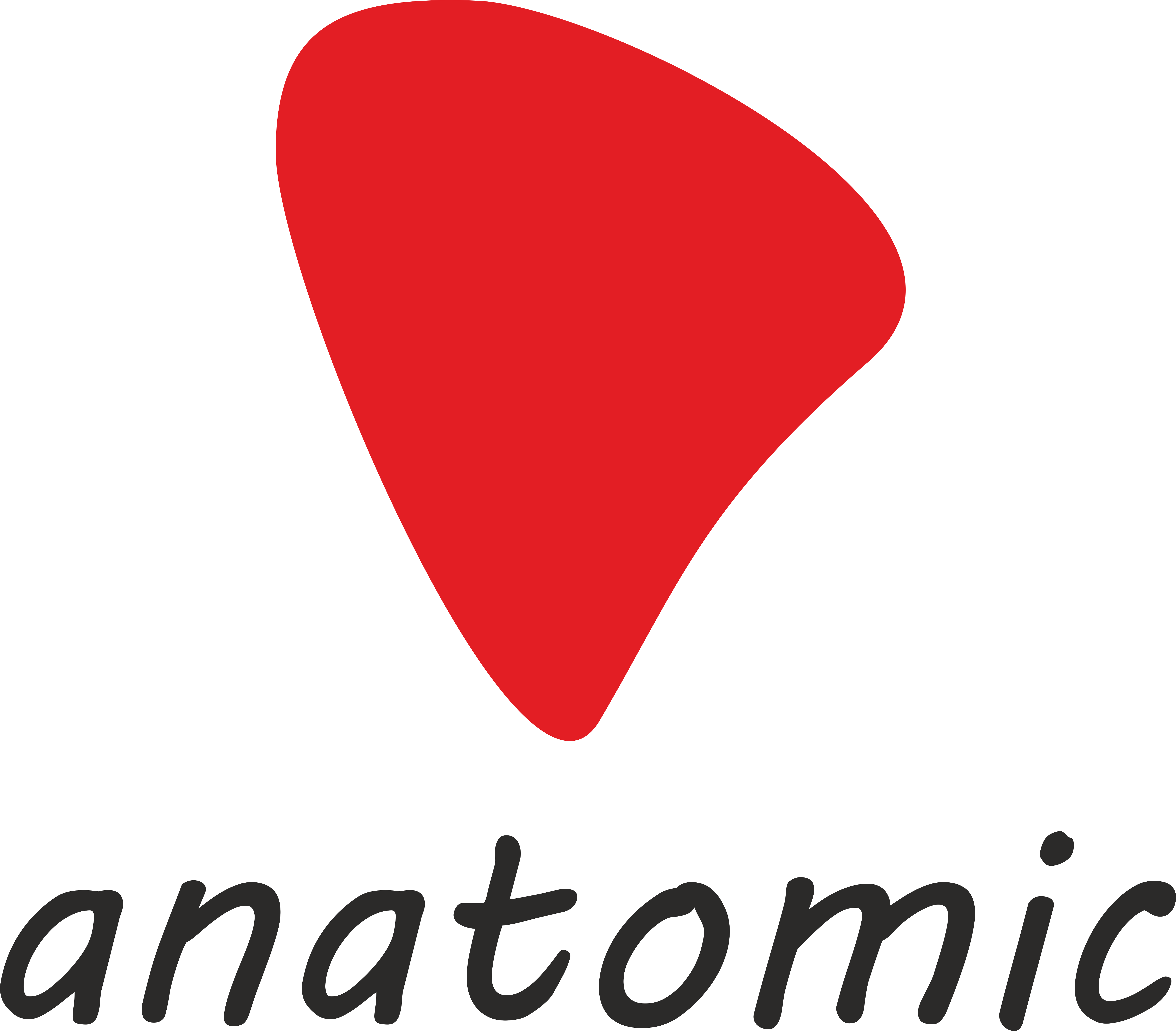 Anatomic logo
